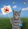 Cat gray with prohibition poop sign in meadow Royalty Free Stock Photo