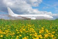 Meadow with green grass and blooming yellow flowers, landscape at the airport with departing airplane. Summer travel concept