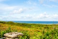 Meadow with green grass in the Burren with the sea in the background Royalty Free Stock Photo