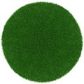 Meadow green grass surface. Turf blank top view background isolated on white. Template or Banner for gardening shop or online