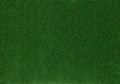 Meadow green grass surface. Turf blank top view background. Template or Banner for gardening shop or online shopping,