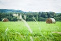 Meadow hay Royalty Free Stock Photo