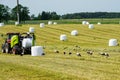 A meadow with a hay press, wrapped hay bales and lots of storks