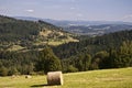 Meadow with hayrick and nice view Royalty Free Stock Photo
