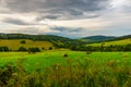 Meadow with haystack  pasture with cows  green hills with woods in summer  Rychleby mountains Royalty Free Stock Photo