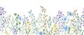 Meadow herbs, plants, flowers. Seamless border of wildflowers. Yellow, blue flower, green grass. Spring, summer greenery Royalty Free Stock Photo