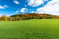 Meadow with a hill covered of colourful autumn trees in backgroynd and blue sky Royalty Free Stock Photo