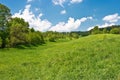 Meadow in the hills