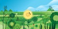 Meadow hills Nature landscape green grass Rural beautiful summer field sunflower and grass in front blue sky Royalty Free Stock Photo