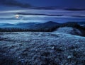 Meadow on a hillside near forest at night