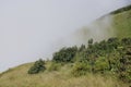 meadow on a hilltop and the mist blows in the daytime