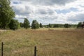 Meadow in Hovgarden in Sweden