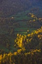 Meadow illumintad by ray of light at autumn sunrise Royalty Free Stock Photo