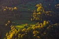 Meadow illumintad by ray of light at autumn sunrise