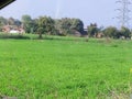 Meadow indian rural scene