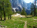 Meadow at Jezerca bellow Slemenova Spica in Julian alps, Slovenia with patches of snow