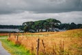 Meadow and lake in Killarney National Park, Ireland