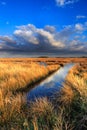 Meadow landscape with beautiful cloudscape