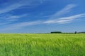 Meadow landscape, blue sky, Saxony, Germany Royalty Free Stock Photo