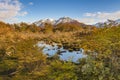 Meadow landscape, cerro alarken, ushuaia, argentina