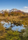 Meadow landscape, cerro alarken, ushuaia, argentina