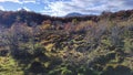 Meadow landscape, cerro alarken, ushuaia, argentina Royalty Free Stock Photo