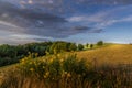 Meadow landscape countryside view on bushes and in background blue sky with many clouds sun light and forest close to city Royalty Free Stock Photo