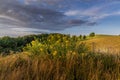 Meadow landscape countryside view on bushes and in background blue sky with many clouds sun light and forest close to city Royalty Free Stock Photo