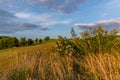 Meadow landscape countryside view on bushes and in background blue sky with many clouds sun light and forest close to city Royalty Free Stock Photo