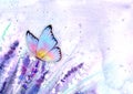 Meadow lavender horizontal background with colorful butterfly