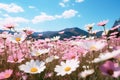 Meadow with lots of white and pink spring daisy flowers Royalty Free Stock Photo