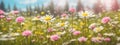 Meadow with lots of white and pink spring daisy flowers and yellow dandelions in sunny day Royalty Free Stock Photo