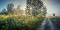 Foggy Meadow in the Lublin region. Royalty Free Stock Photo