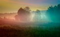 Foggy Meadow in the Lublin region. Royalty Free Stock Photo