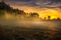 Foggy Meadow in the Lublin region. Royalty Free Stock Photo