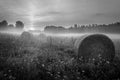 Foggy Meadow in the Lublin region. Royalty Free Stock Photo