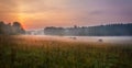 Foggy Meadow in the Lublin region. Royalty Free Stock Photo