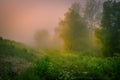 Foggy Meadow in the Lublin voivodeship. Royalty Free Stock Photo