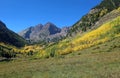 On The meadow with Maroon Bells Royalty Free Stock Photo