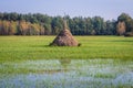 Meadow in Masovia region of Poland Royalty Free Stock Photo