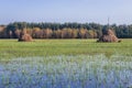 Meadow in Masovia region of Poland Royalty Free Stock Photo