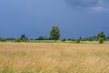 Meadow in Mazowsze region of Poland Royalty Free Stock Photo