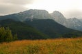 meadow and mountain of Giewont Royalty Free Stock Photo