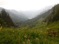 Meadow in mountains in austrian alpes and water reseroir