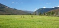 Meadow and Mountains