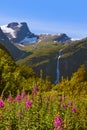 Meadow near Briksdal glacier - Norway Royalty Free Stock Photo