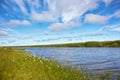 Meadow near river Royalty Free Stock Photo