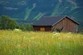 Meadow with old barn Royalty Free Stock Photo