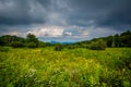 Meadow at Old Rag Overlook, on Skyline Drive in Shenandoah National Park, Virginia. Royalty Free Stock Photo