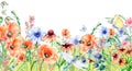 Meadow orange, red flowers board, dragonfly, butterflies watercolor illustration isolated. Royalty Free Stock Photo